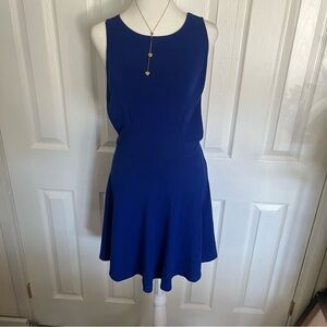 American Apparel Cobalt Blue Sleeveless Mini Dress